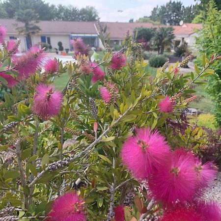 Bed and Breakfast Lagalerne Neuville-du-Poitou Exterior foto