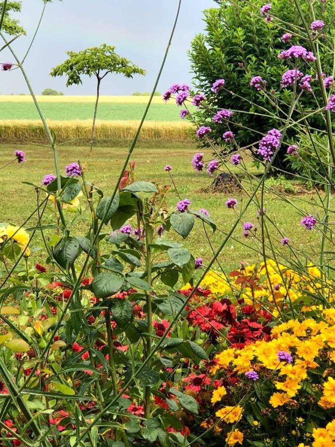 Bed and Breakfast Lagalerne Neuville-du-Poitou Exterior foto