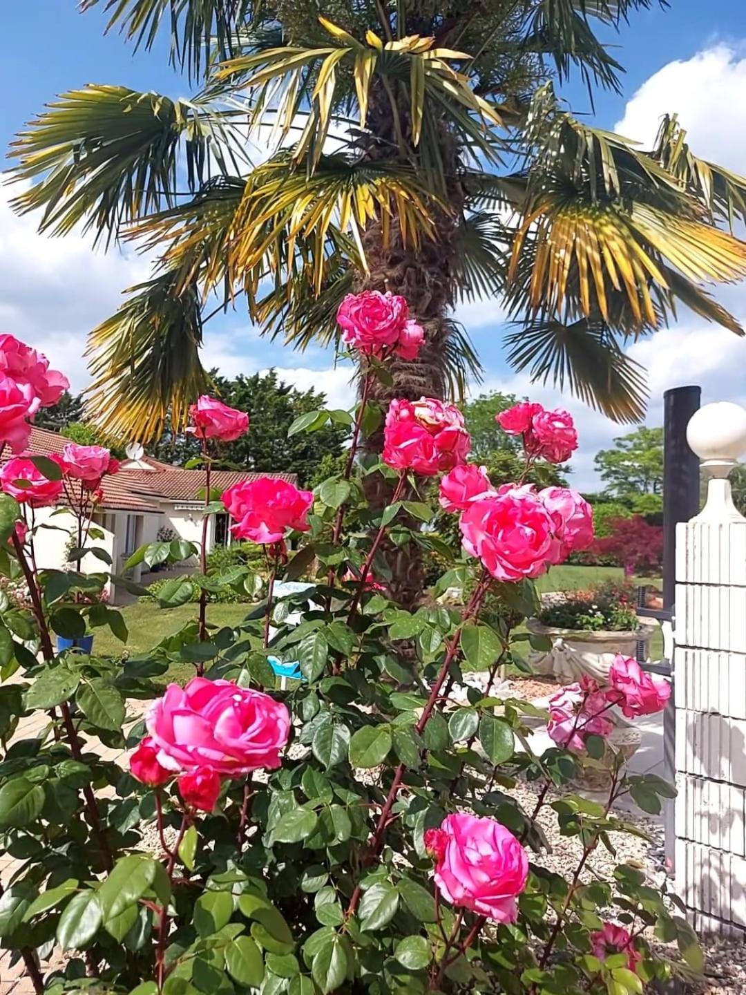 Bed and Breakfast Lagalerne Neuville-du-Poitou Exterior foto