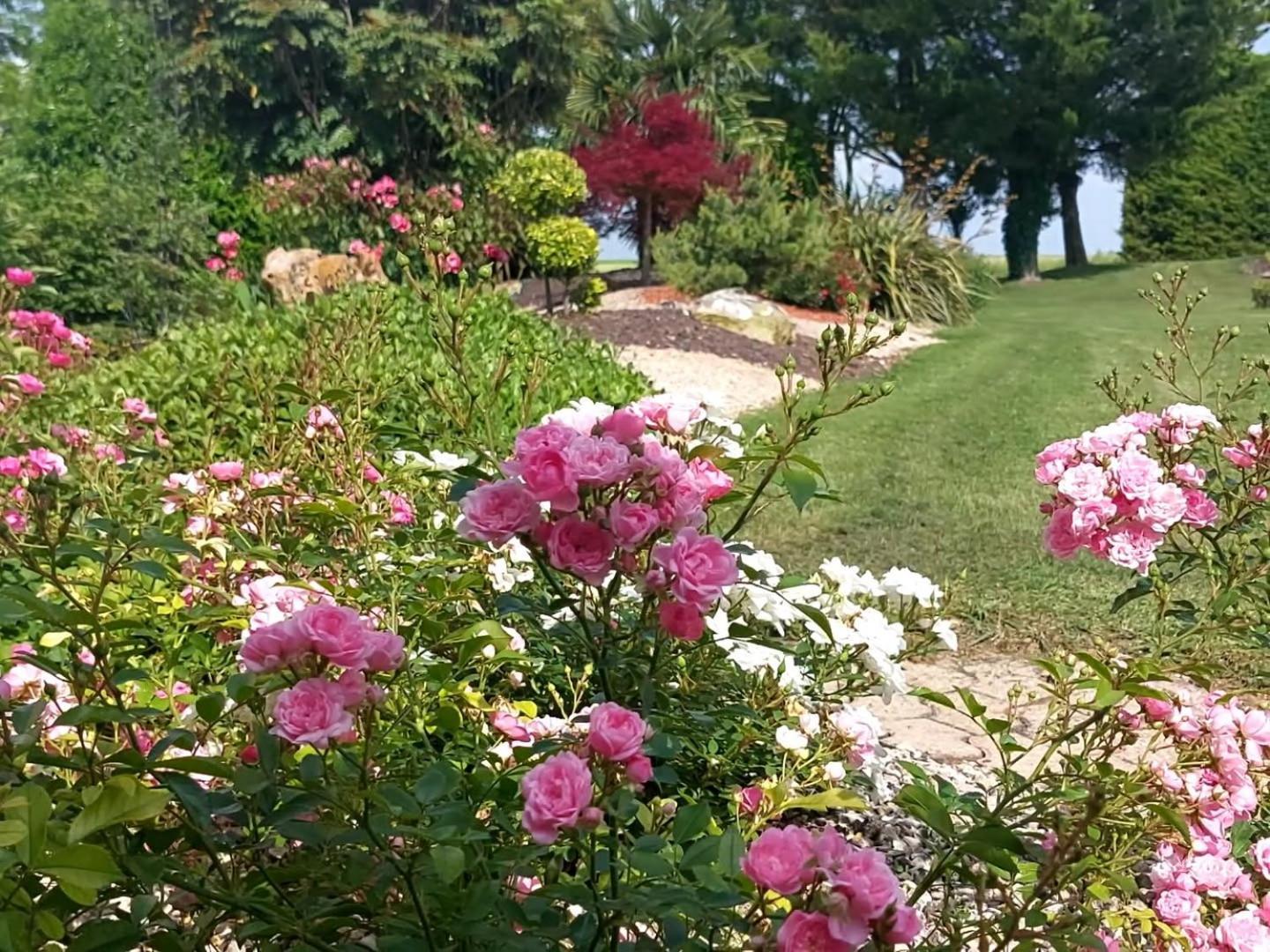 Bed and Breakfast Lagalerne Neuville-du-Poitou Exterior foto